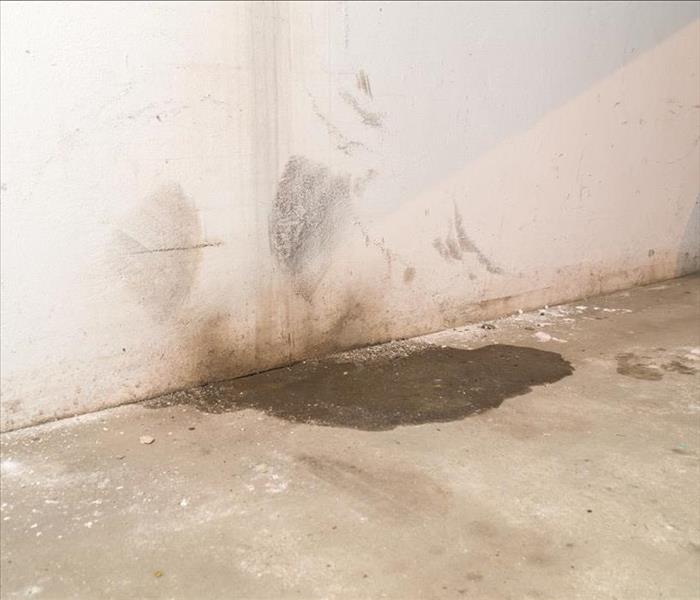 sewage damage in basement caused by sanitary drain.