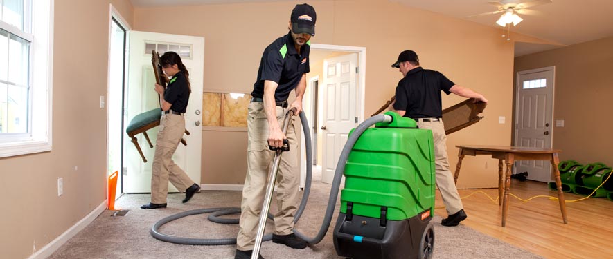 Renton, WA cleaning services